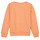 Textiel Meisjes Sweaters / Sweatshirts Name it NKFLOFFINA LS SWE BRU PS Orange
