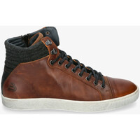 Schoenen Heren Sneakers Bullboxer 648-K5-5836D Brown