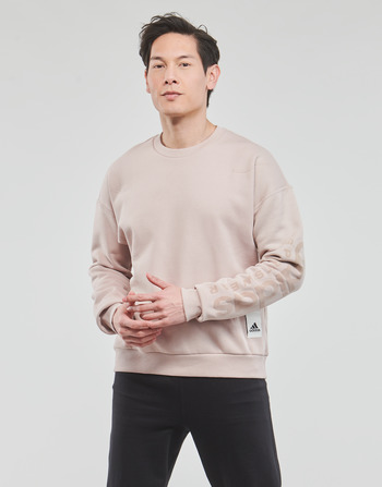 Textiel Heren Sweaters / Sweatshirts Adidas Sportswear CAPS SWT Beige