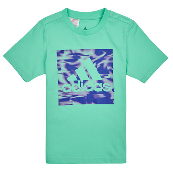 Textiel Kinderen T-shirts korte mouwen Adidas Sportswear AKD GT Groen / Easy