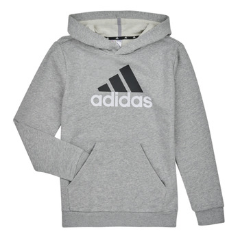 Textiel Jongens Sweaters / Sweatshirts Adidas Sportswear BL 2 HOODIE Grijs / Moyen
