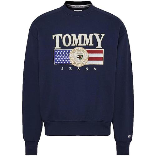 Textiel Heren Sweaters / Sweatshirts Tommy Hilfiger  Blauw