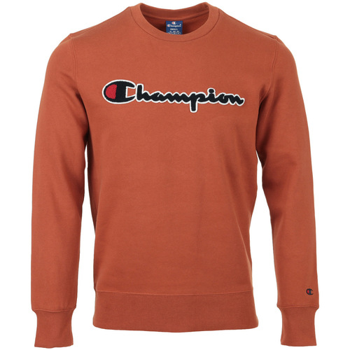 Textiel Heren Sweaters / Sweatshirts Champion Crewneck Sweatshirt Brown