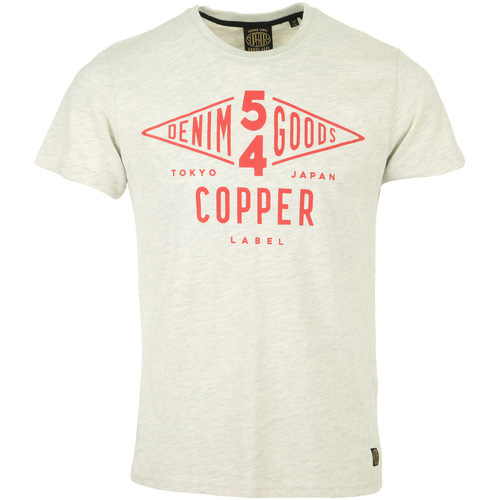 Textiel Heren T-shirts korte mouwen Superdry Copper Label Tee Grijs