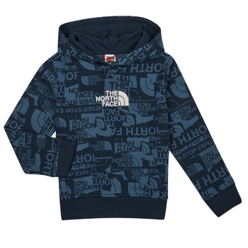Textiel Jongens Sweaters / Sweatshirts The North Face Boys Drew Peak Light P/O Hoodie Blauw