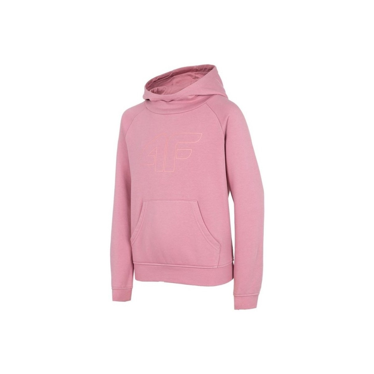 Textiel Meisjes Sweaters / Sweatshirts 4F JBLD002 Roze