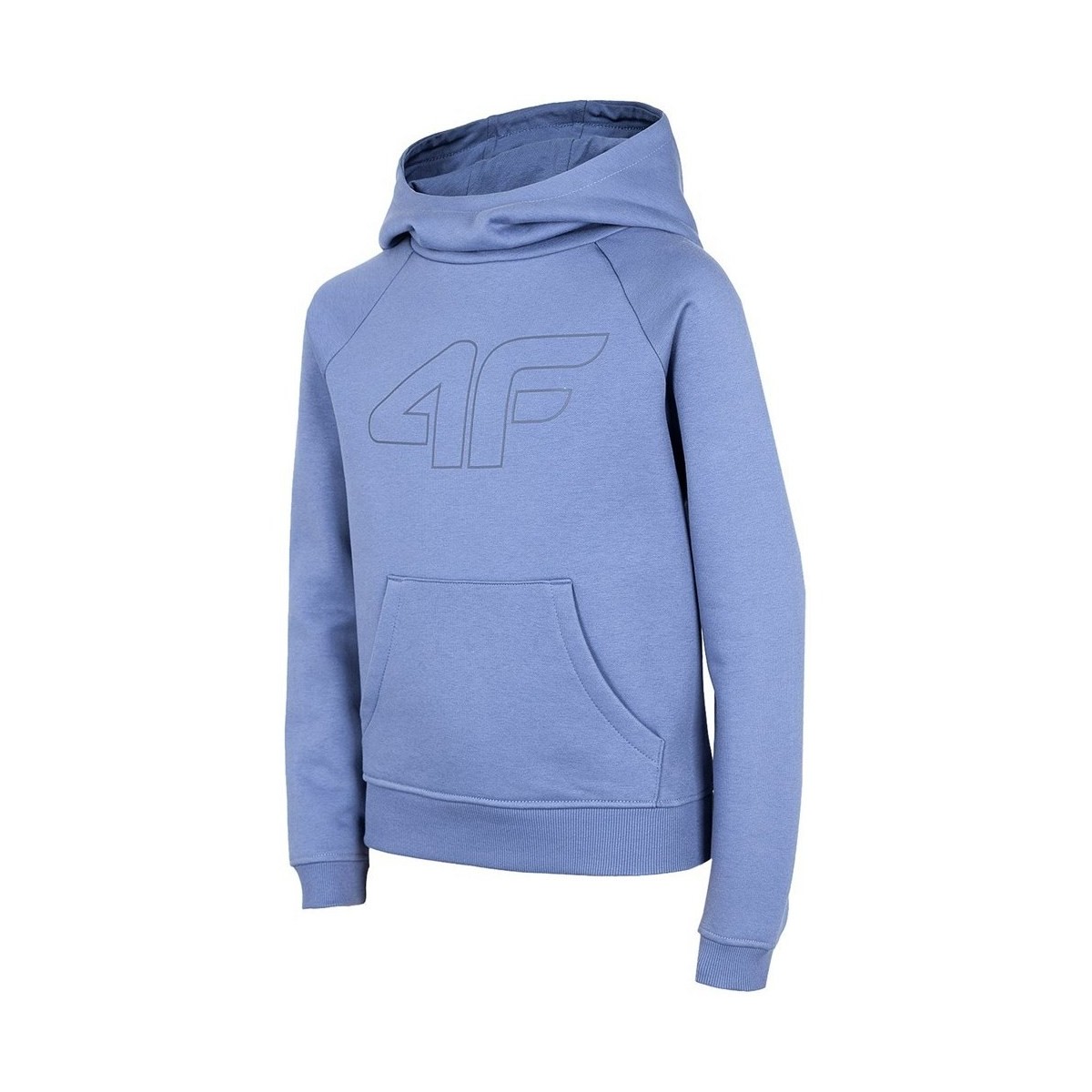 Textiel Meisjes Sweaters / Sweatshirts 4F JBLD002 Blauw