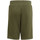Textiel Jongens Korte broeken / Bermuda's adidas Originals  Groen