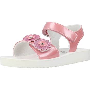 Schoenen Meisjes Sandalen / Open schoenen Chicco CARTINA Roze