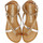 Schoenen Dames Sandalen / Open schoenen Gioseppo lhuins Brown