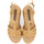 Schoenen Dames Sandalen / Open schoenen Gioseppo senlisse Brown
