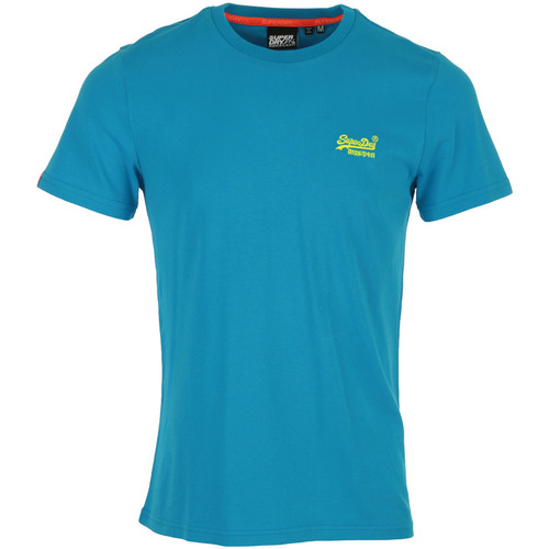 Textiel Heren T-shirts korte mouwen Superdry OL Neon Lite Tee Blauw