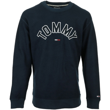 Textiel Heren Sweaters / Sweatshirts Tommy Hilfiger Reversed Crew Blauw