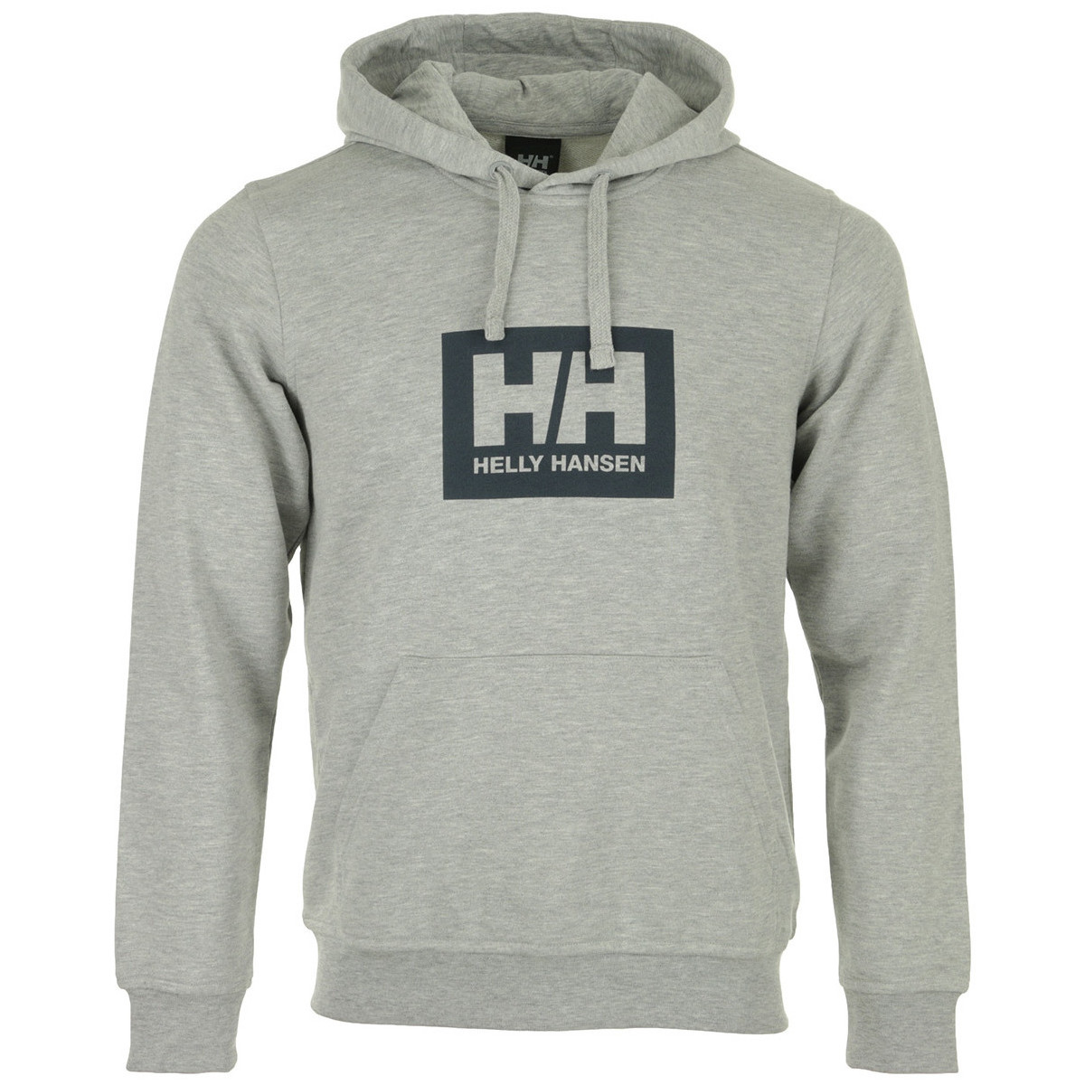 Textiel Heren Sweaters / Sweatshirts Helly Hansen Tokyo Hoodie Grijs