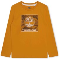 Textiel Jongens T-shirts korte mouwen Timberland T25U36-575-J Geel