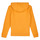 Textiel Jongens Sweaters / Sweatshirts Timberland T25U56-575-J Geel