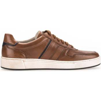 Schoenen Heren Sneakers Pius Gabor 1040.13.01 Brown