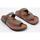 Schoenen Heren Sandalen / Open schoenen Senses & Shoes SEASCAPE Brown