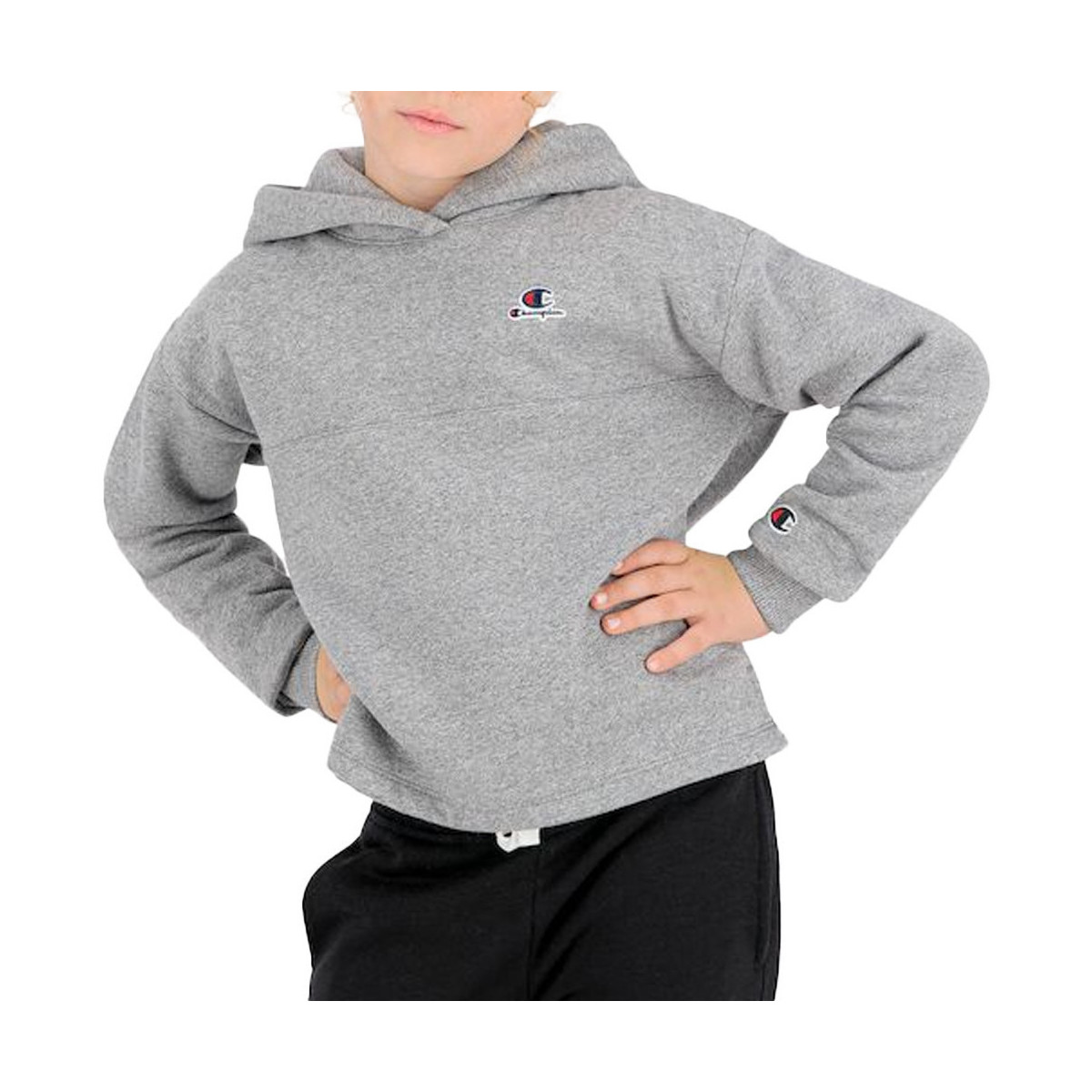 Textiel Meisjes Sweaters / Sweatshirts Champion  Grijs
