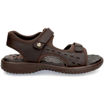 Schoenen Dames Sandalen / Open schoenen Panama Jack NILO BASICS B8 Brown