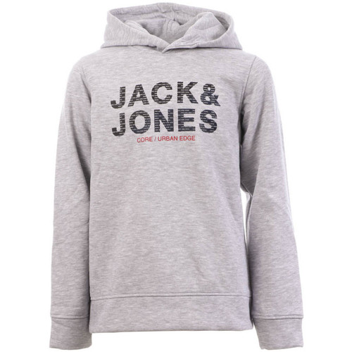 Textiel Jongens Sweaters / Sweatshirts Jack & Jones  Grijs