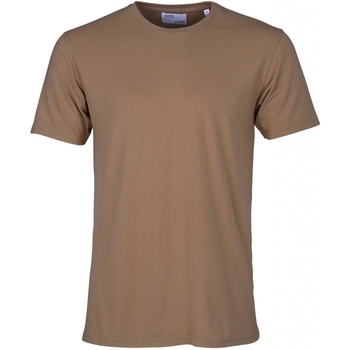 Textiel T-shirts korte mouwen Colorful Standard T-shirt  Classic Organic sahara camel Brown