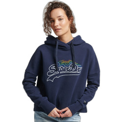 Textiel Dames Sweaters / Sweatshirts Superdry Sweatshirt à capuche à motif arc-en-ciel et logo femme Blauw