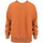 Textiel Heren Sweaters / Sweatshirts Champion 216488 Orange