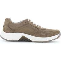 Schoenen Heren Sneakers Pius Gabor 8002.13.01 Brown