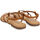 Schoenen Dames Sandalen / Open schoenen Gioseppo lelex Brown