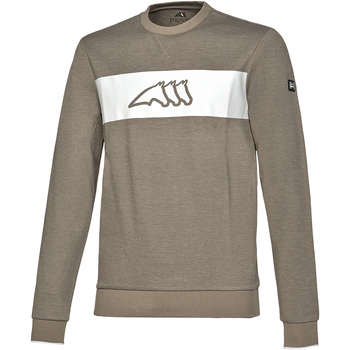 Textiel Heren Sweaters / Sweatshirts Equiline Sweatshirt équitation  Egre Geel