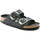 Schoenen Dames Sandalen / Open schoenen Birkenstock Arizona Big Buckle Zwart
