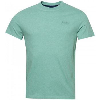 Textiel Heren T-shirts & Polo’s Superdry Vintage logo emb Groen