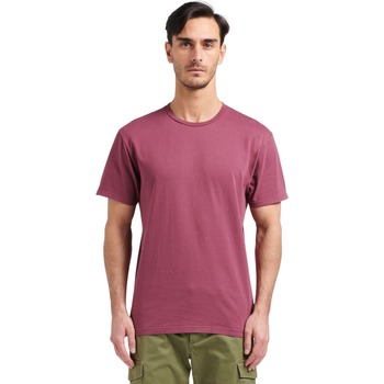 Textiel T-shirts korte mouwen Colorful Standard T-shirt  Classic Organic Violet