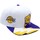 Accessoires Pet Mitchell And Ness  Wit
