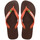 Schoenen Slippers Havaianas BRASIL LOGO Dark / Bruin