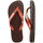 Schoenen Slippers Havaianas BRASIL LOGO Dark / Bruin