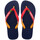 Schoenen Heren Slippers Havaianas BRASIL MIX Blauw / Rood