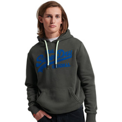 Textiel Heren Sweaters / Sweatshirts Superdry Sweatshirt à capuche  Vintage Logo Neon Grijs