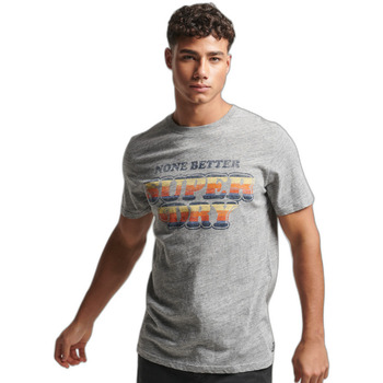 Textiel Heren T-shirts korte mouwen Superdry T-shirt classique  Vintage Cooper Grijs