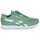 Schoenen Lage sneakers Reebok Classic CLASSIC LEATHER NYLON Groen / Wit