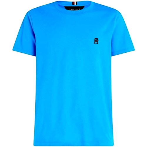 Textiel Heren T-shirts korte mouwen Tommy Hilfiger MW0MW30054 Blauw
