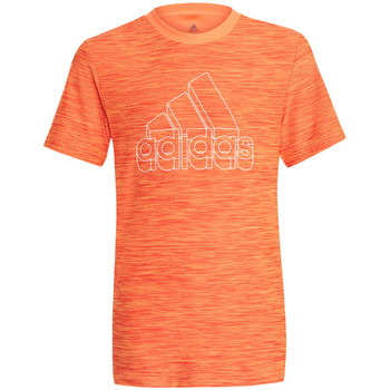 Textiel Meisjes T-shirts korte mouwen adidas Originals  Orange