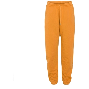 Textiel Broeken / Pantalons Colorful Standard Jogging  Organic sunny orange Orange