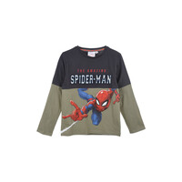 Textiel Jongens T-shirts met lange mouwen TEAM HEROES  T SHIRT SPIDERMAN Grijs