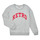 Textiel Meisjes Sweaters / Sweatshirts Only KOGANNI L/S O-NECK CS SWT Grijs