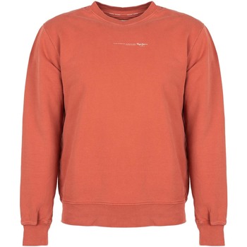 Textiel Heren Sweaters / Sweatshirts Pepe jeans PM582169 | David Rood