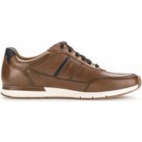 Schoenen Heren Sneakers Pius Gabor 1047.10.02 Brown