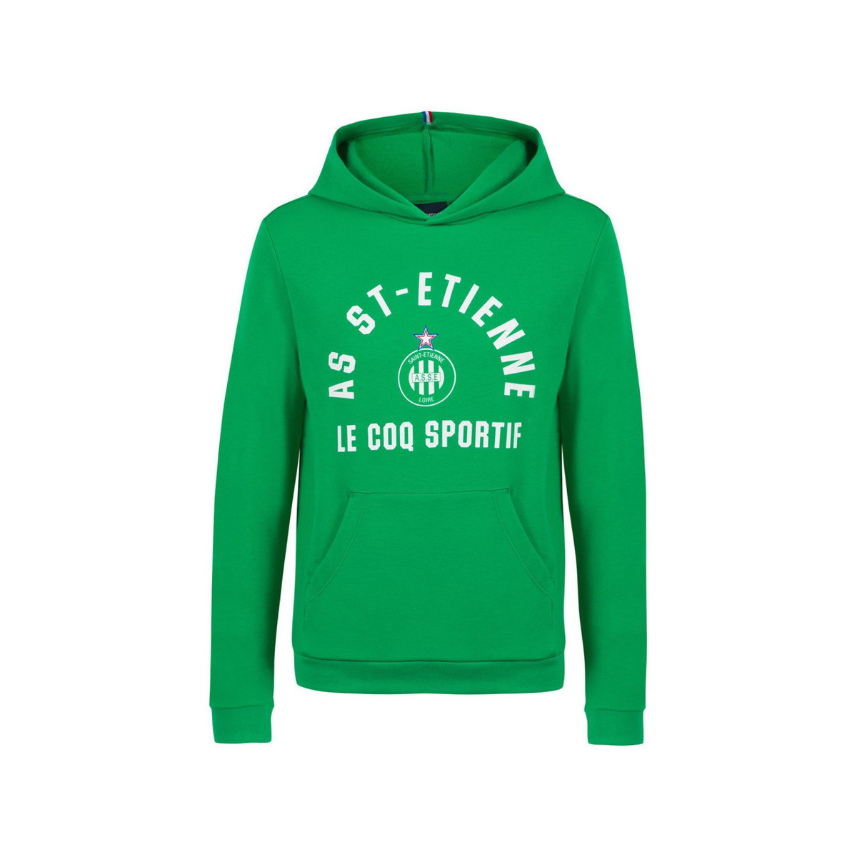 Textiel Jongens Sweaters / Sweatshirts Le Coq Sportif  Groen