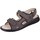 Schoenen Heren Sandalen / Open schoenen Finn Comfort Wanaka S Brown